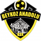 تيزلاسبورت